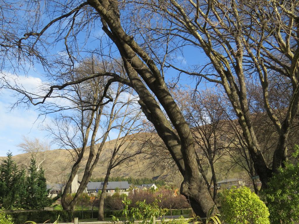 Altamont Lodge Wanaka Bagian luar foto